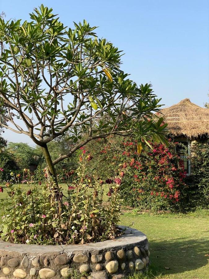 Hotel Sarai Bharatgarh Nohan Exterior photo